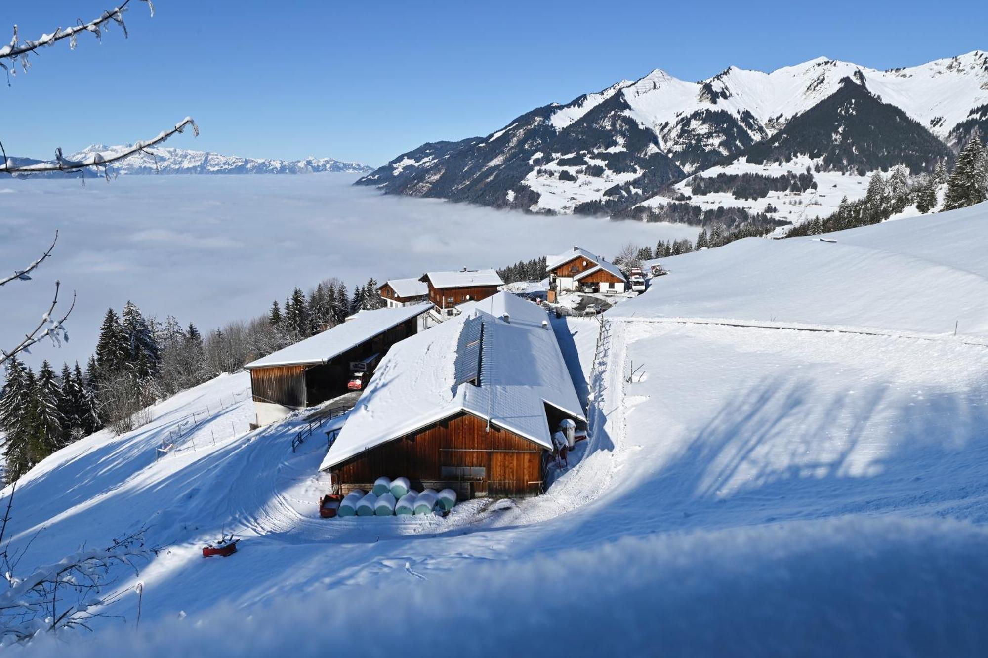 Berghof Burtscher Ludesch Экстерьер фото